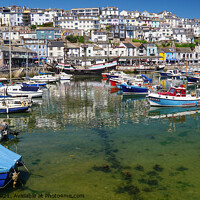 Buy canvas prints of Brixham In The Sunshine by Peter F Hunt