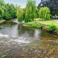 Buy canvas prints of River Exe At Bickleigh Tiverton  by Peter F Hunt