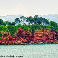 Buy canvas prints of The Red Cliffs Of Torbay  by Peter F Hunt