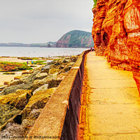 Buy canvas prints of Cliff Walkway Sidmouth by Peter F Hunt