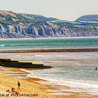 Buy canvas prints of Lyme Regis Beach And Coast  by Peter F Hunt