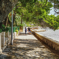 Buy canvas prints of The Pine Walk Puerto Pollensa Mallorca by Peter F Hunt