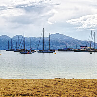 Buy canvas prints of Morning View Puerto De Pollensa Mallorca by Peter F Hunt