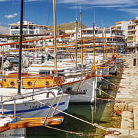 Buy canvas prints of Puerto De Pollensa Marina Mallorca by Peter F Hunt