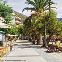 Buy canvas prints of Pollensa Pine Walk Mallorca  by Peter F Hunt