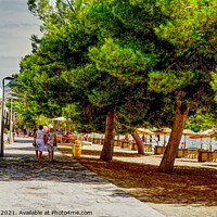 Buy canvas prints of Strolling Along The Pine Walk Puerto Pollensa by Peter F Hunt