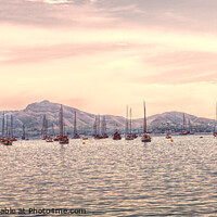 Buy canvas prints of Early Morning Light Over Pollensa Bay by Peter F Hunt
