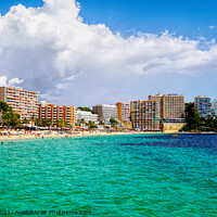 Buy canvas prints of Magaluf Mallorca Spain by Peter F Hunt