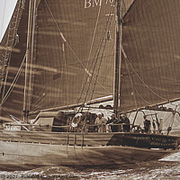 Buy canvas prints of Brixham Sailing Trawler Vigilance BM 76 by Peter F Hunt
