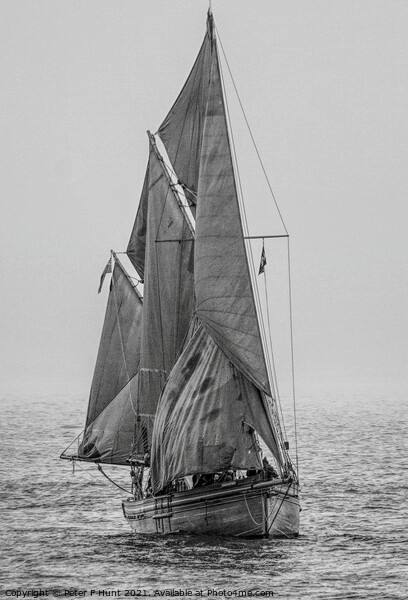 Brixham Sailing Trawler Provident BM 28 Picture Board by Peter F Hunt