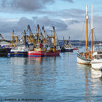 Buy canvas prints of Brixham Boxing Day 2021 by Peter F Hunt