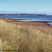 Buy canvas prints of View Over The Dunes Dawlish Warren by Peter F Hunt