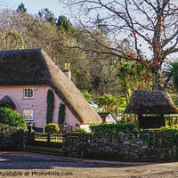 Buy canvas prints of Rose Cottage Cockington Torquay  by Peter F Hunt