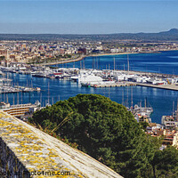 Buy canvas prints of A Palma View Mallorca   by Peter F Hunt