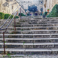 Buy canvas prints of Steps To Palma Cathedral by Peter F Hunt