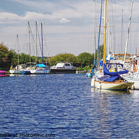 Buy canvas prints of Chelmer And Blackwater Navigation Heybridge by Peter F Hunt