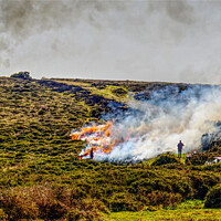 Buy canvas prints of Burning The Gorse On Dartmoor by Peter F Hunt
