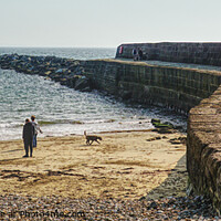Buy canvas prints of The Cobb Lyme Regis  by Peter F Hunt