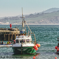 Buy canvas prints of Lyme Regis Fishing Boats  by Peter F Hunt