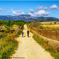 Buy canvas prints of Walking In Mallorca by Peter F Hunt