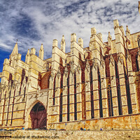 Buy canvas prints of The Magnificent Cathedral Palma Mallorca by Peter F Hunt