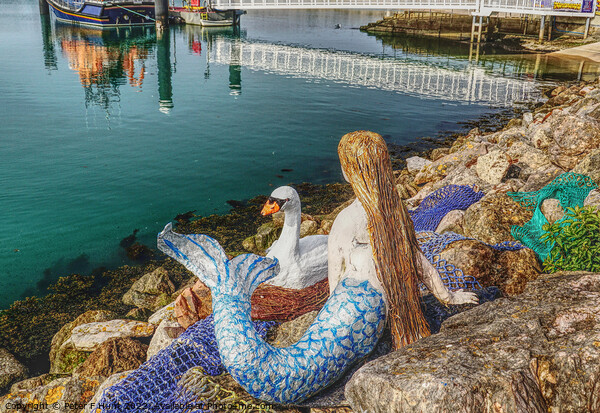 The Mermaid And The Swan Picture Board by Peter F Hunt