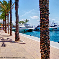 Buy canvas prints of Puerto Portals Marina Mallorca  by Peter F Hunt
