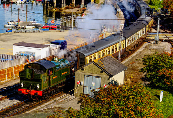 Steam Train Arriving At Kingswear Picture Board by Peter F Hunt