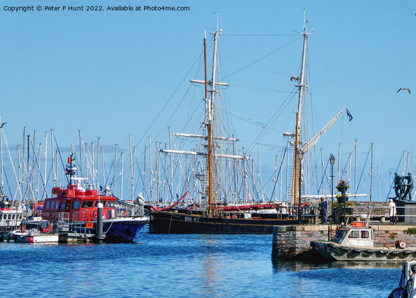 Tall Ships In Brixham Picture Board by Peter F Hunt
