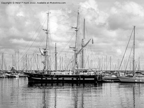 TS Royalist Mono Picture Board by Peter F Hunt