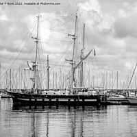 Buy canvas prints of TS Royalist Mono by Peter F Hunt