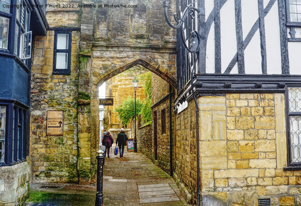The Bow Arch Sherborne Picture Board by Peter F Hunt