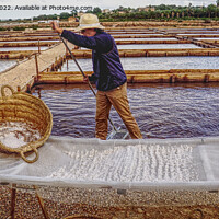 Buy canvas prints of Harvesting Domestic Sea Salt Mallorca by Peter F Hunt