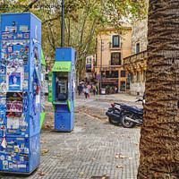 Buy canvas prints of Palma City Mallorca by Peter F Hunt