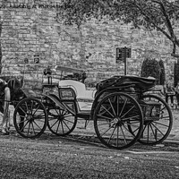 Buy canvas prints of Waiting For The Tourists  by Peter F Hunt