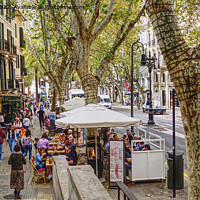Buy canvas prints of City Life Palma Mallorca by Peter F Hunt