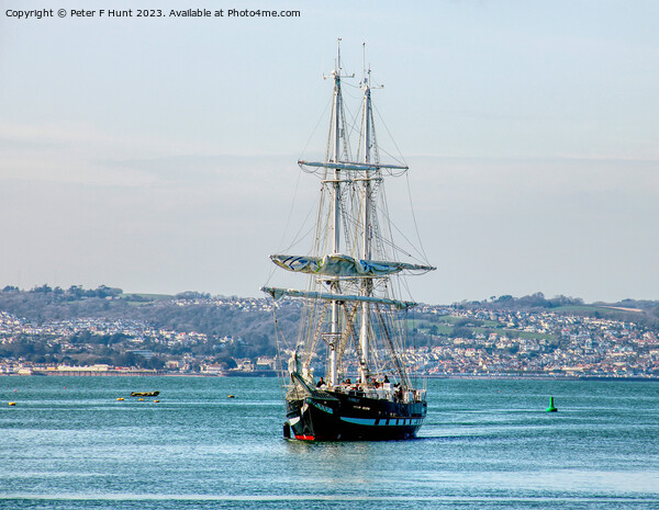TS Royalist Coming Into Port 2 Picture Board by Peter F Hunt