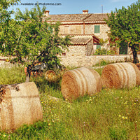 Buy canvas prints of A Farm In Calvia Mallorca by Peter F Hunt