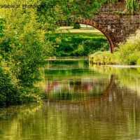 Buy canvas prints of The Lush Green Of The Canal by Peter F Hunt