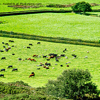 Buy canvas prints of The Lush Green Fields Of Rural Devon by Peter F Hunt