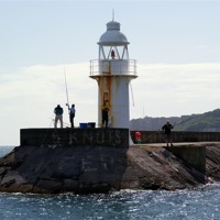 Buy canvas prints of Fishing Off Brixham Breakwater by Peter F Hunt