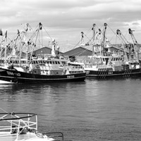 Buy canvas prints of Brixham Trawlers in Port by Peter F Hunt