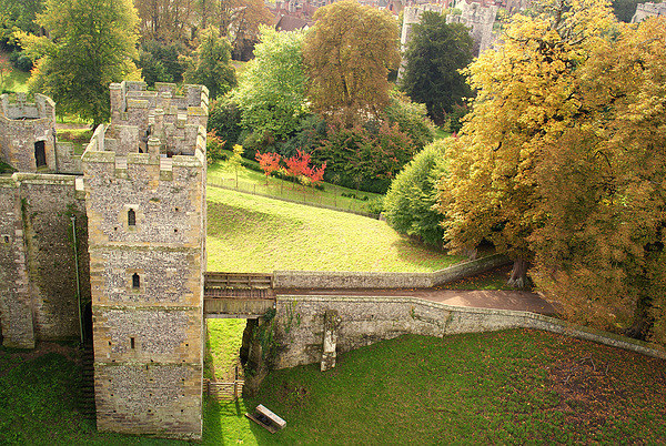 A View From The Castle Picture Board by Peter F Hunt