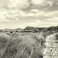 Buy canvas prints of A Walk Through The Dunes by Peter F Hunt
