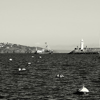 Buy canvas prints of Brixham Outer Harbour by Peter F Hunt