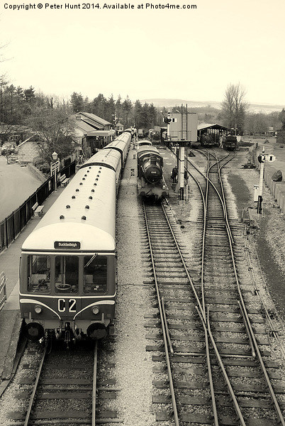 Buckfastleigh Station Devon Picture Board by Peter F Hunt