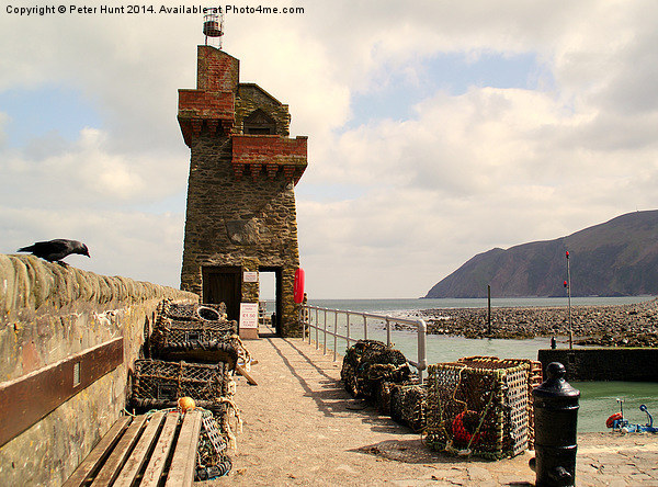 Lynmouth Harbour Wall Picture Board by Peter F Hunt