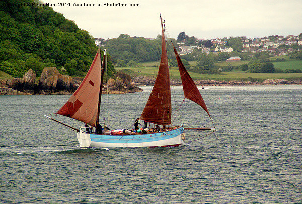 Cornish Lugger Sailing From Brixham Picture Board by Peter F Hunt