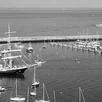 Buy canvas prints of STS Tenacious Entering Brixham Harbour by Peter F Hunt