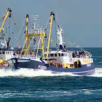 Buy canvas prints of Brixham Trawlers Racing Home by Peter F Hunt